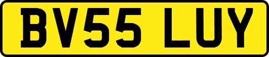 BV55LUY