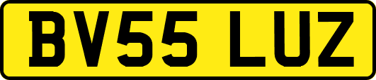 BV55LUZ