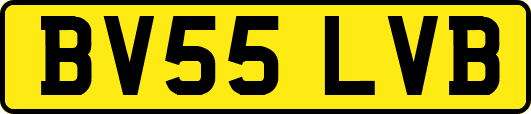 BV55LVB