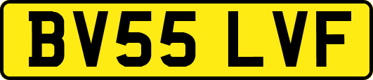 BV55LVF