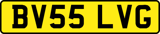 BV55LVG