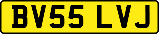 BV55LVJ
