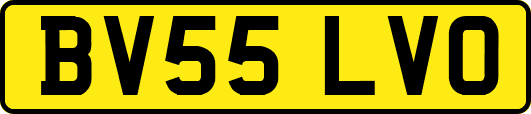BV55LVO