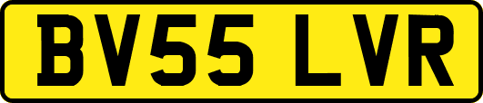 BV55LVR