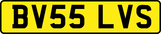BV55LVS