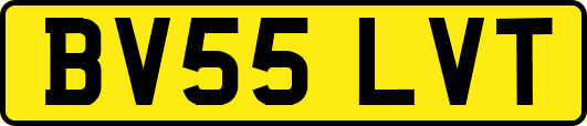 BV55LVT