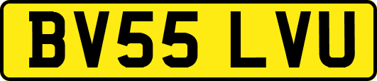 BV55LVU