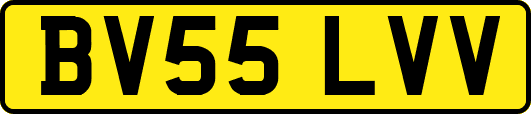 BV55LVV