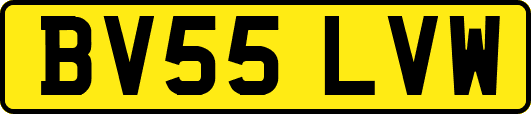 BV55LVW