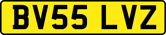 BV55LVZ
