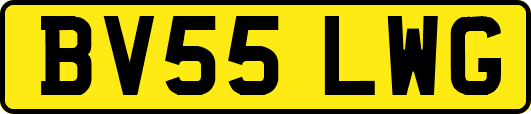 BV55LWG