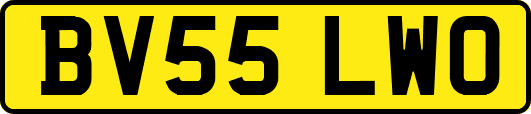 BV55LWO