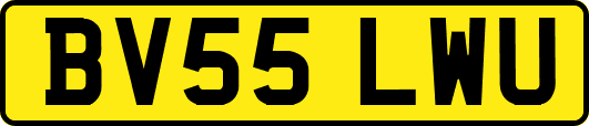 BV55LWU