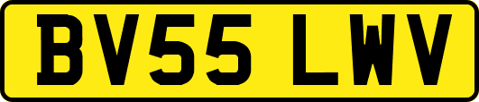 BV55LWV