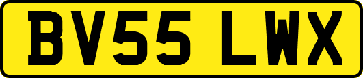 BV55LWX