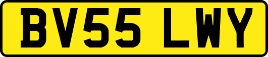 BV55LWY