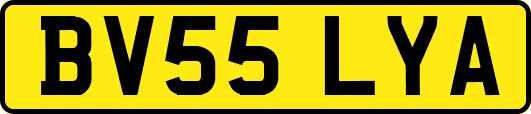 BV55LYA
