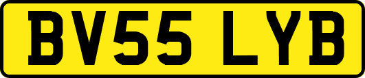 BV55LYB