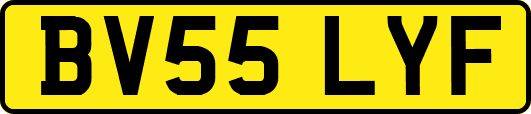 BV55LYF