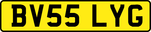 BV55LYG