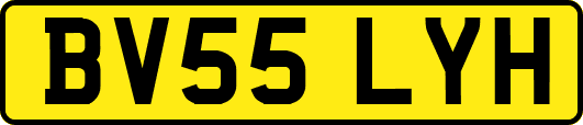 BV55LYH