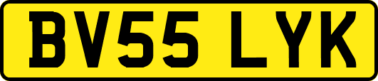 BV55LYK