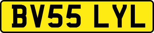 BV55LYL