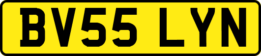 BV55LYN