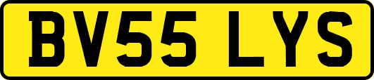 BV55LYS