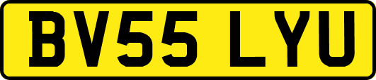 BV55LYU