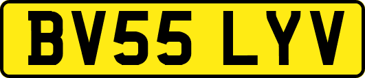 BV55LYV