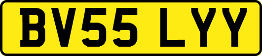 BV55LYY