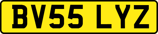 BV55LYZ