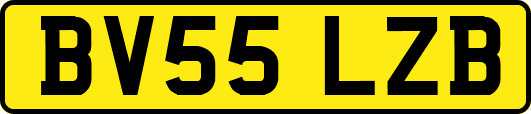 BV55LZB
