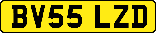 BV55LZD