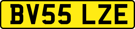 BV55LZE