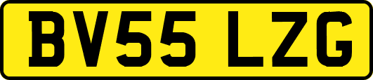 BV55LZG