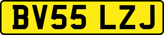 BV55LZJ