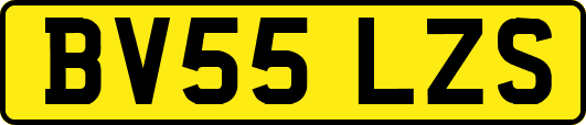 BV55LZS