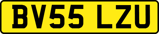 BV55LZU