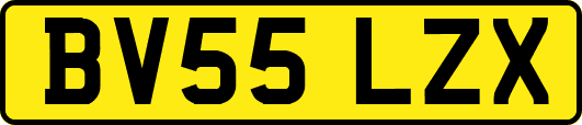 BV55LZX