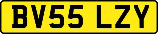 BV55LZY