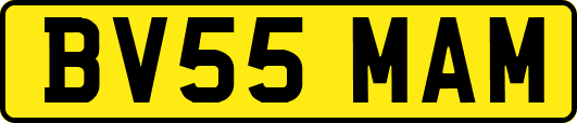 BV55MAM