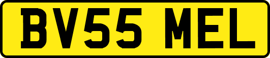 BV55MEL