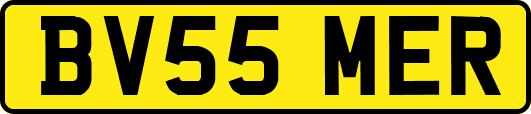 BV55MER
