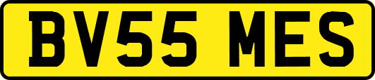 BV55MES