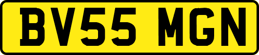BV55MGN