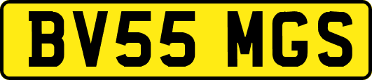 BV55MGS