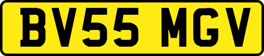 BV55MGV