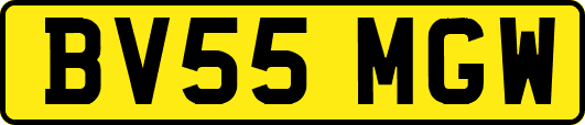 BV55MGW